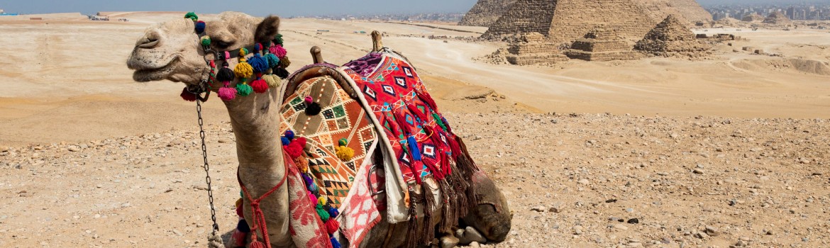 GIZA ( EGYPT)