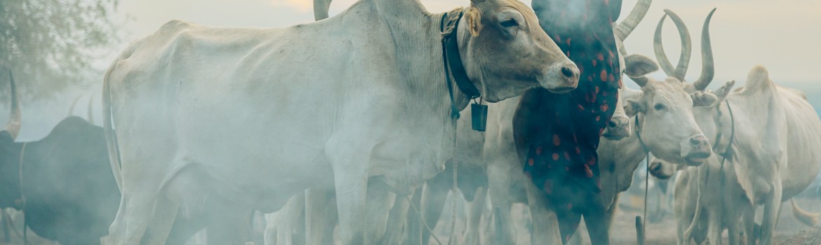 THE MUNDARI TRIBE (SOUTH SUDAN)