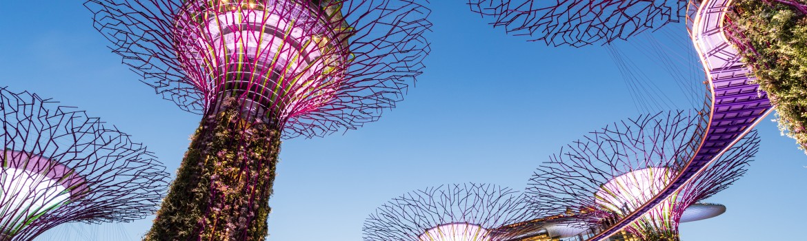 GARDENS BY THE BAY (SINGAPORE)