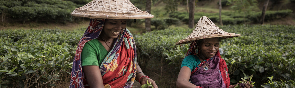 SREEMANGAL (BANGLADESH)